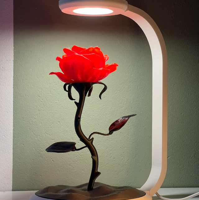 Lampe rose 🌹