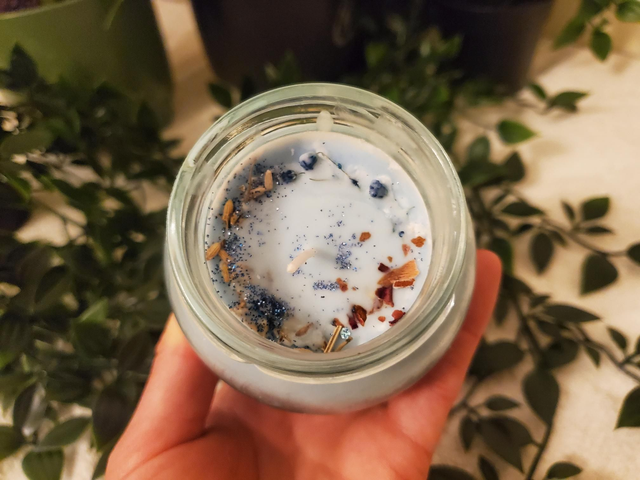 Coastal Kale &amp; Surf Soy Candle 
