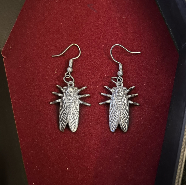 Cicada earrings