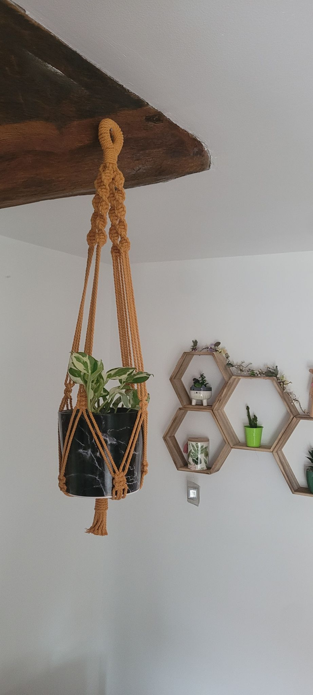 Suspension pour plante Modèle "Jonquille"