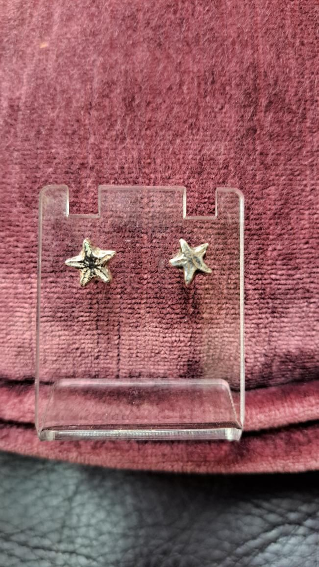Fossil star studs
