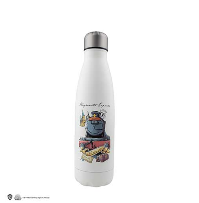 Bouteille Voyage à Poudlard 500ml - Harry Potter