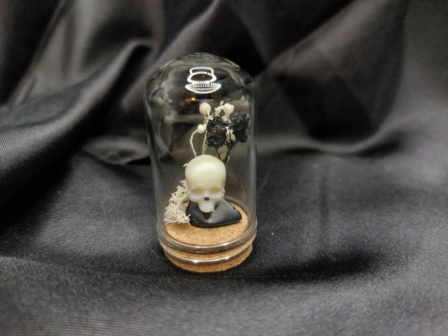 Mini-cloche crâne noir et blanc 