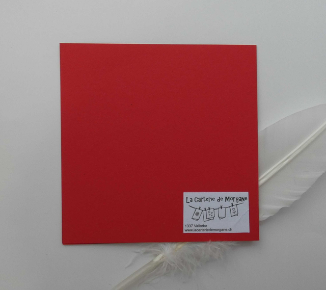 Bonnes fêtes avec l'ours