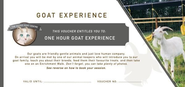 Goat Experience