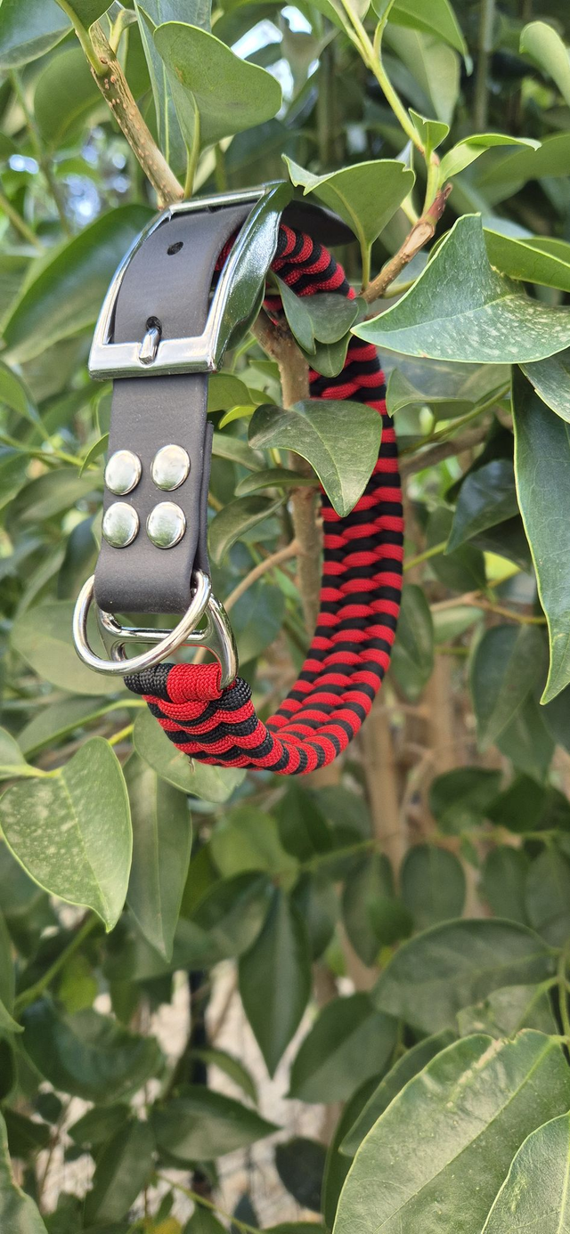 Collier biothane - Taille M