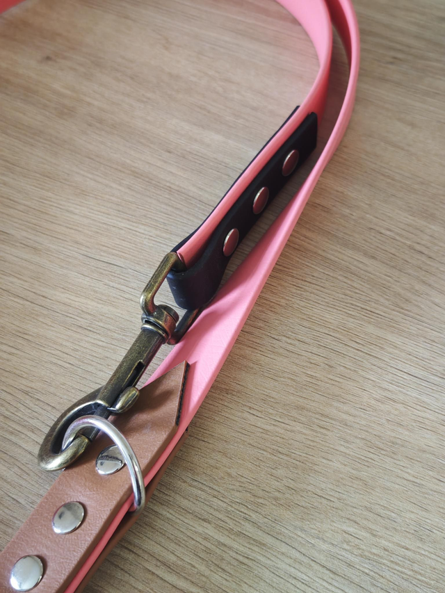 Laisse 25mm Multi position