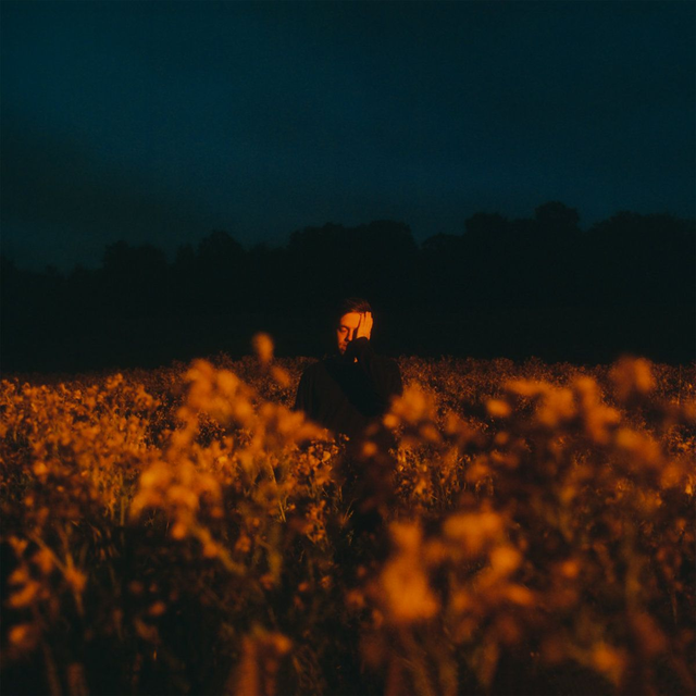 Benjamin Francis Leftwich - Some Things Break LP (Evening Sky Coloured Vinyl)