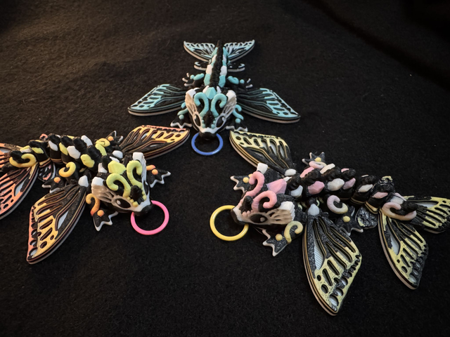 Draak Butterfly colored