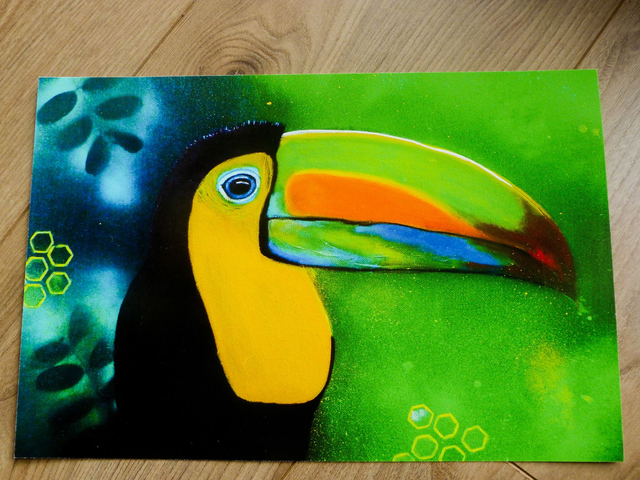Art Print ( impression d'art) Toucan Arc en Ciel 30X20 cm