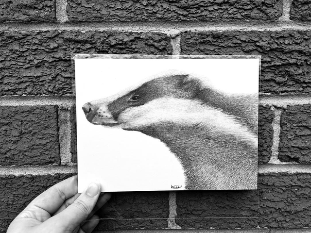 Badger Mini Print