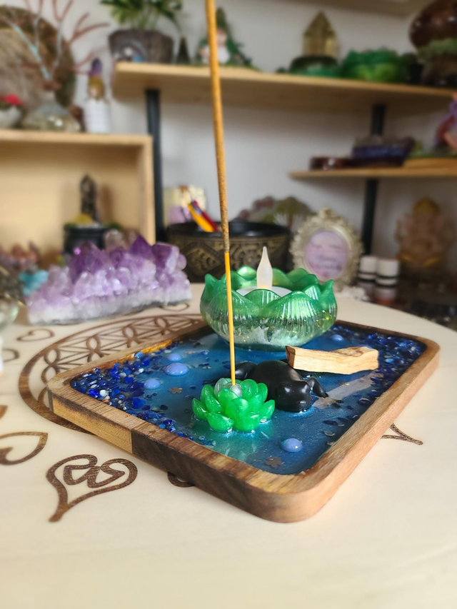 Plateau de fumigation 🐸 Métamorphose de la grenouille rectangulaire