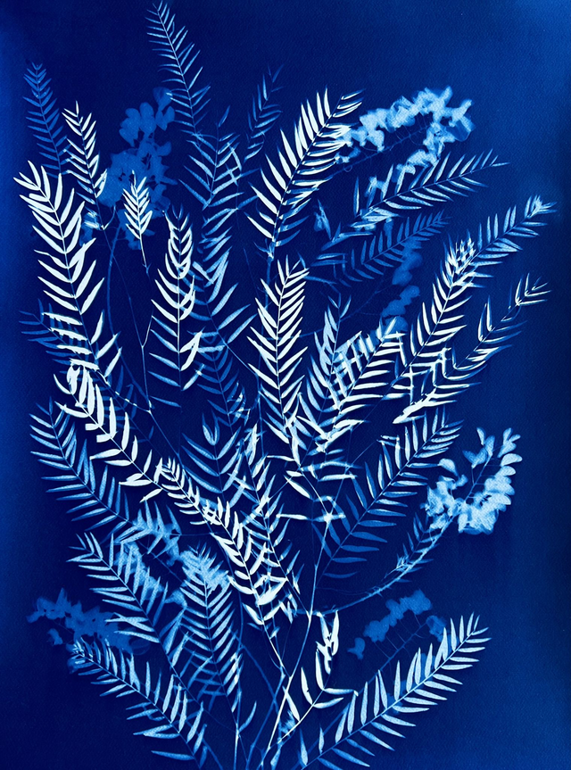 &quot;Echappée Varoise&quot; Cyanotype original