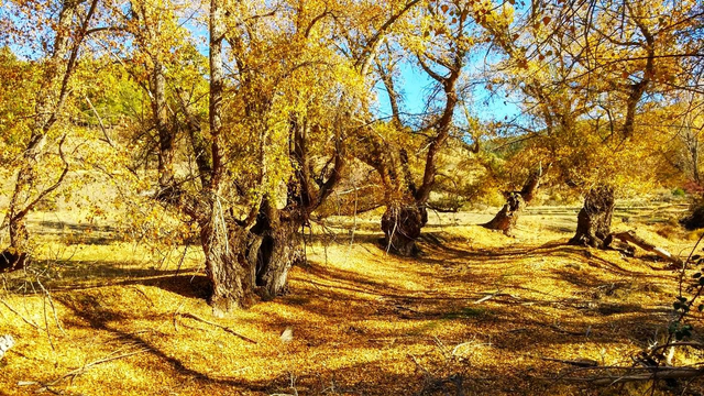 Granada - Sierra de Baza