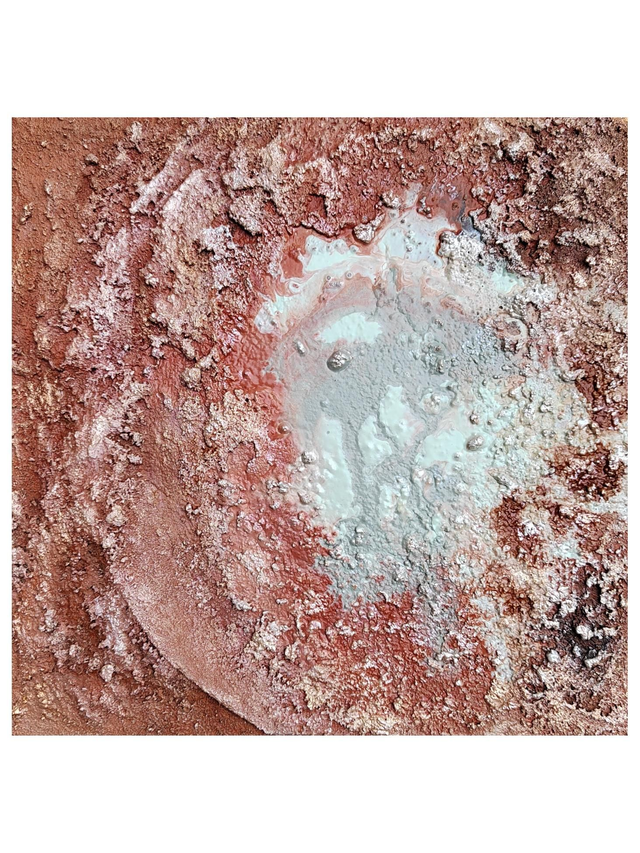 &quot;Riches of the reef&quot; - 30 x 30 cm