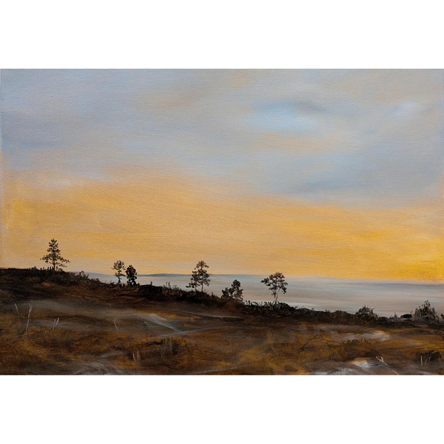 Sun setting over Blackdown 