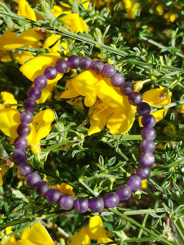Bracelet Améthyste 