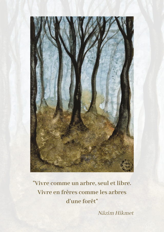 Affiche forêt sombre
