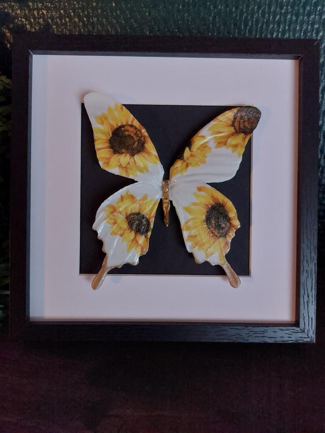 Cadre papillon tournesol