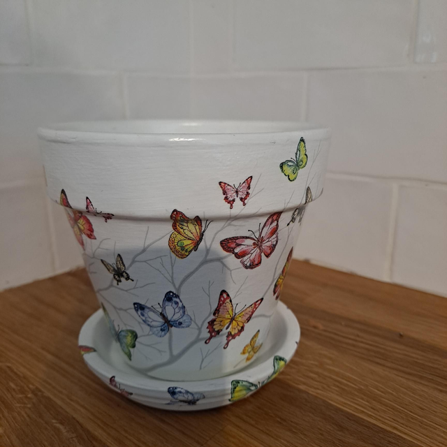 Little butterfly small