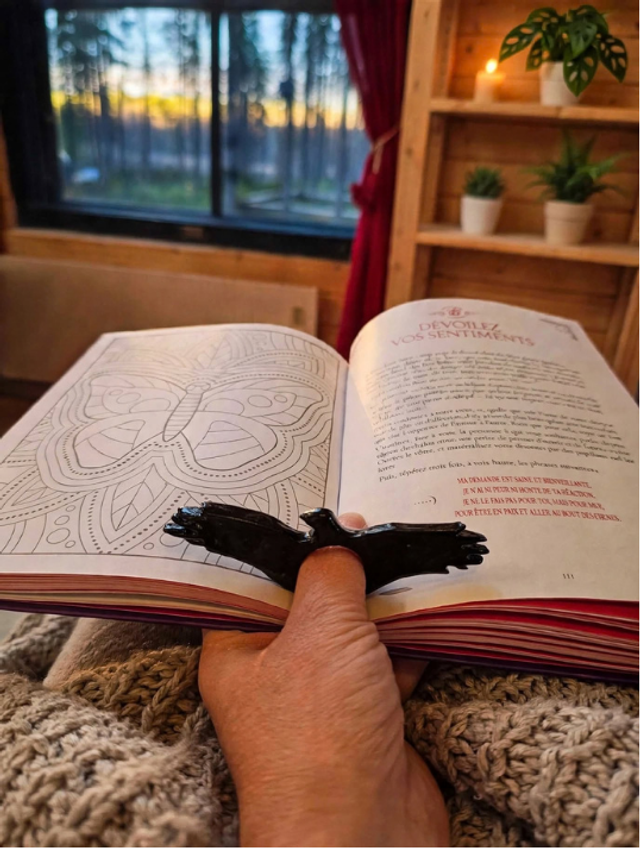 Corbeau - Bague de lecture