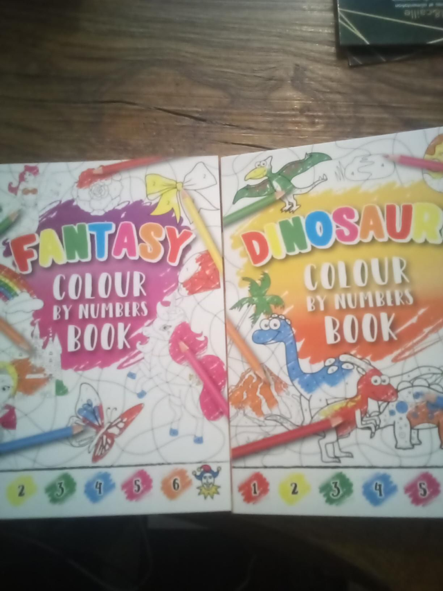 Livre coloriages dino fee