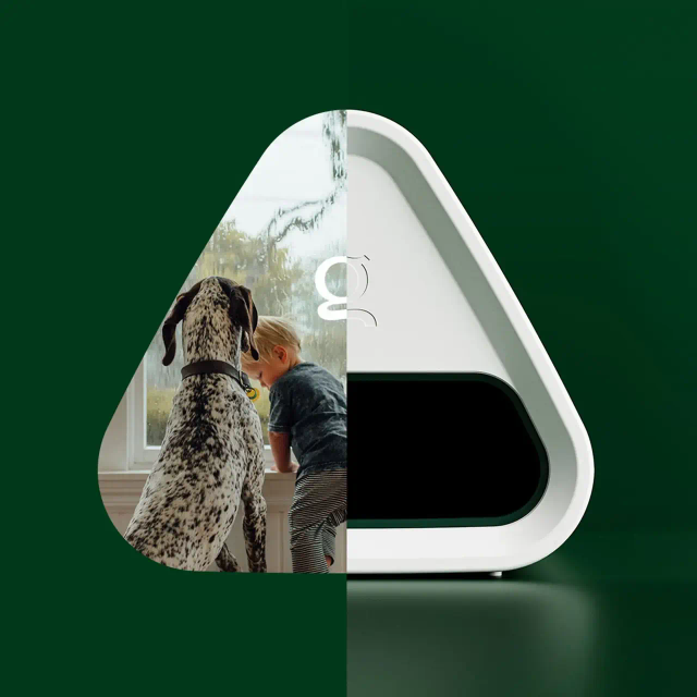 Piège à souris Goodnature