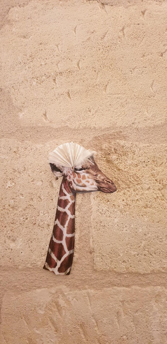 Décoration murale en papier et dentelle 