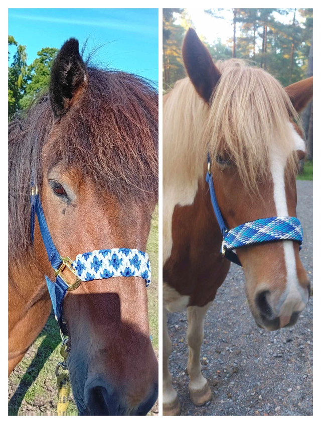 Headcollar: Small Pony - Custom Order