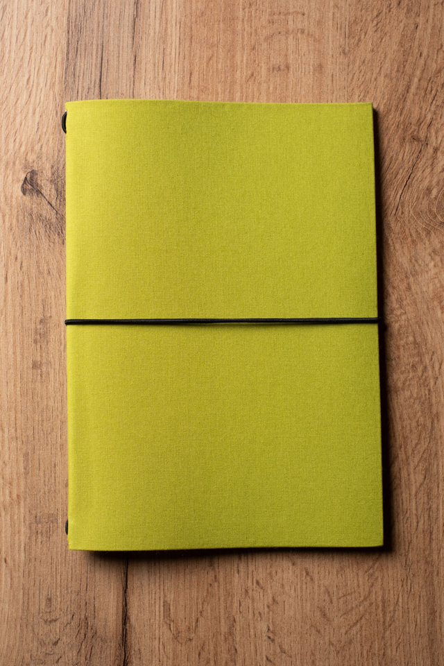 Paper Travel Lime