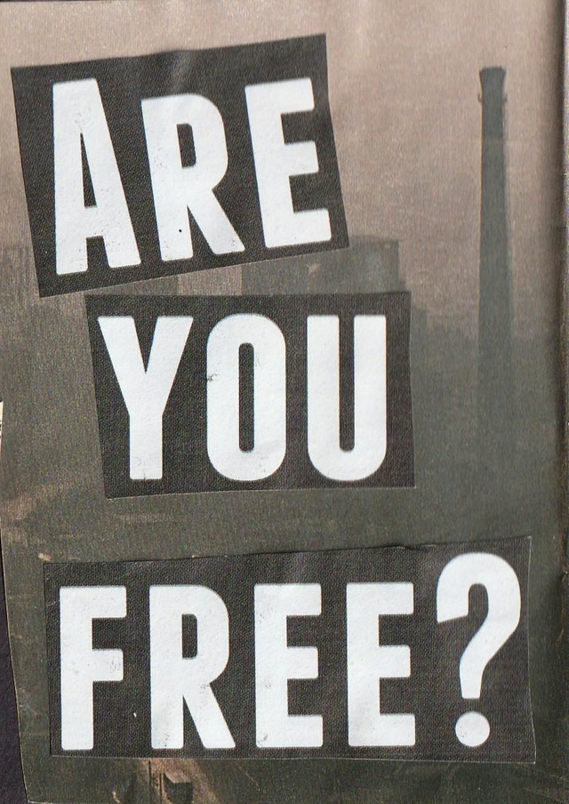 ARE YOU FREE?