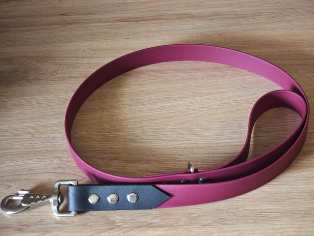 Laisse 25mm biothane de ~1,15m de longueur !