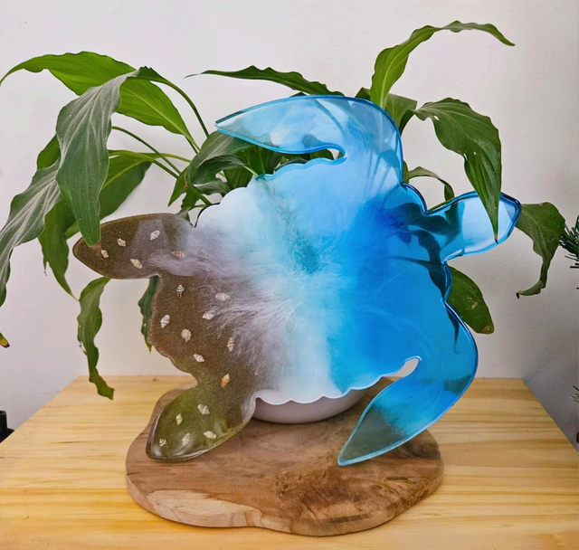 Plateau tortue HAWAÏ 