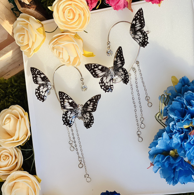 Papillons noirs argents complet