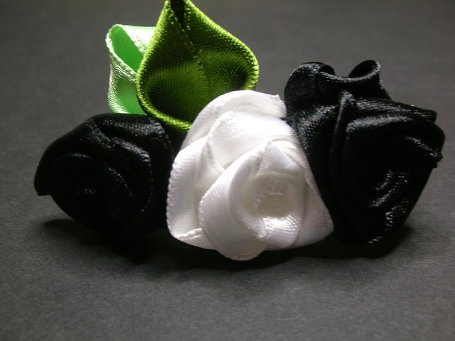 Composition de roses noires et blanche-noeud pour chien