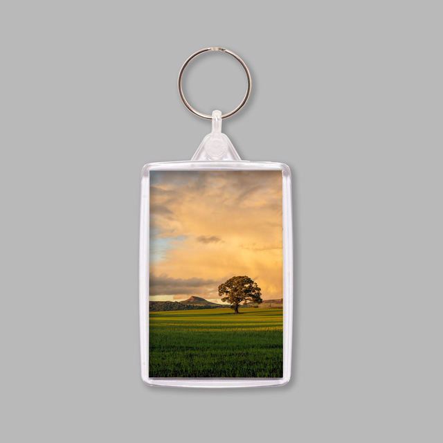 Golden Evening Light, Roseberry Topping
