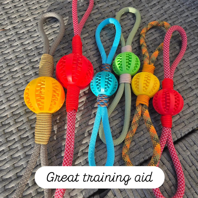 Interactive/training treat ball tug toy