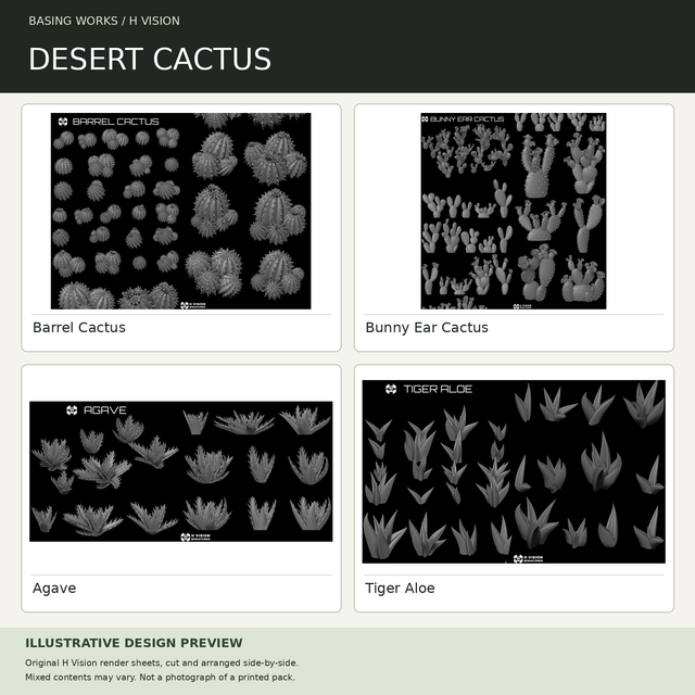 H Vision - Desert Cactus