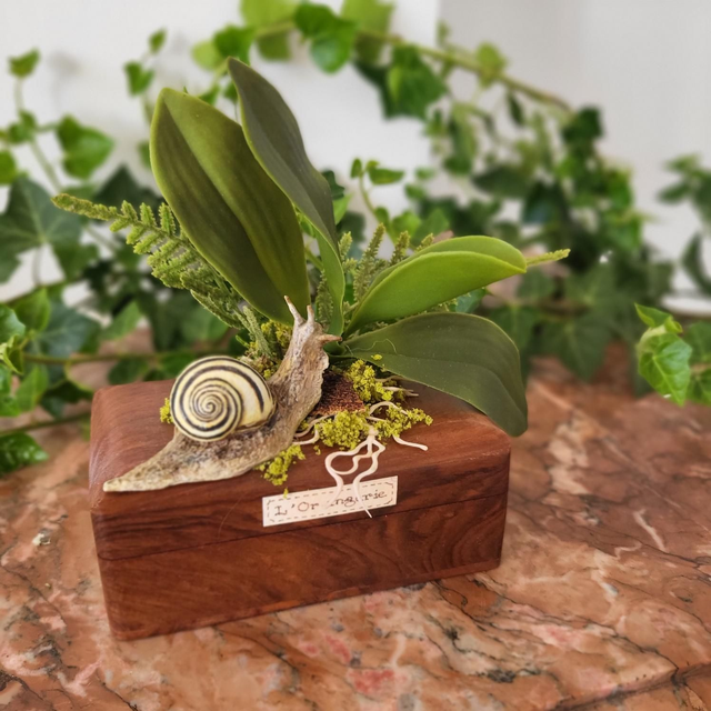 L'Escargot des Racines Silencieuses - Sculpture Fantastique 