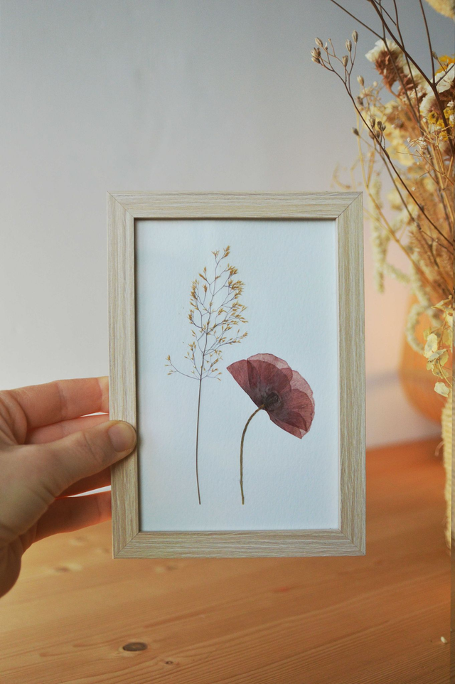 Tableau 10*15 cm - Mini herbier coquelicot