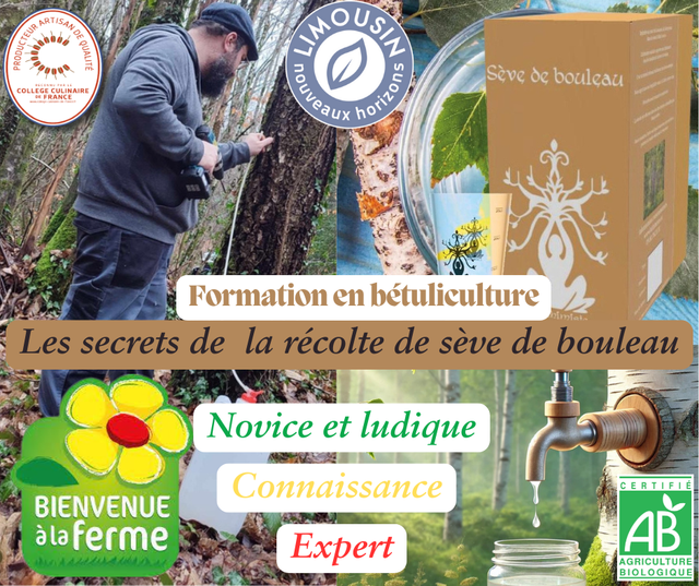 Formation à la récolte de la sève de bouleau