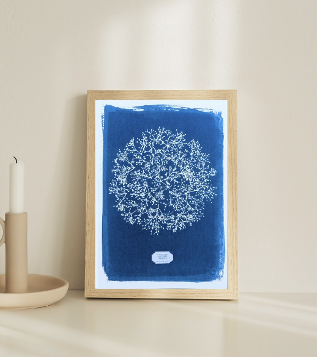 Cyanotype Photinia (A4 21x29,7 cm) - n°334 - sans cadre