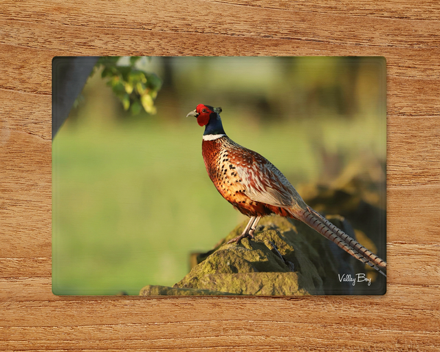 "Rufus Pheasant" Glass Worktop Saver 