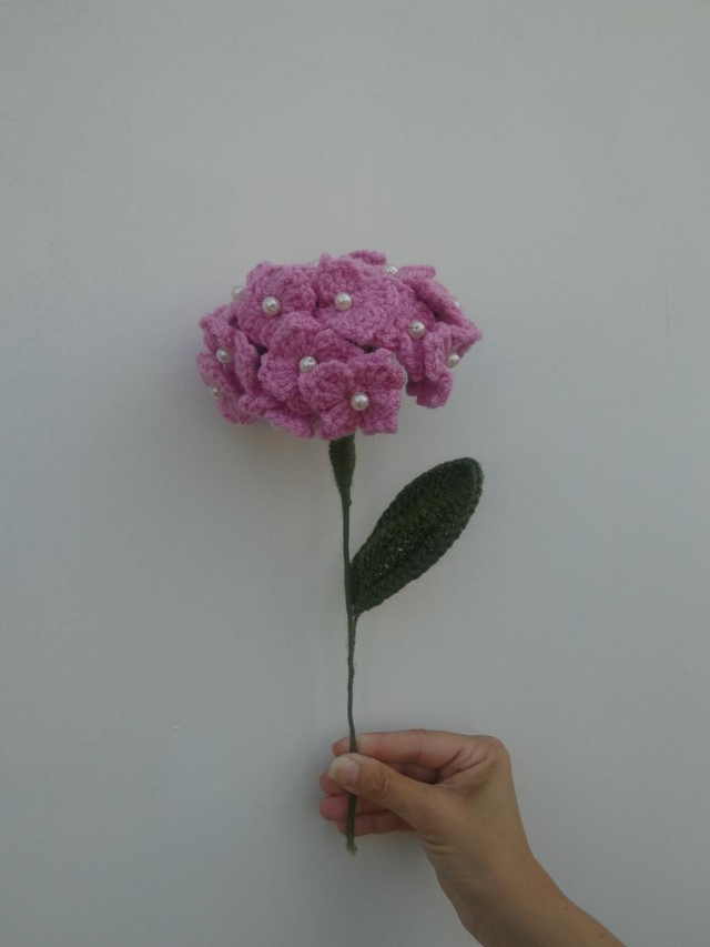 Hortensia rose 