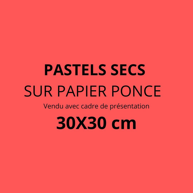 PASTELS SECS SUR PAPIER PONCE  Vendu avec cadre de présentation - 30X30 cm