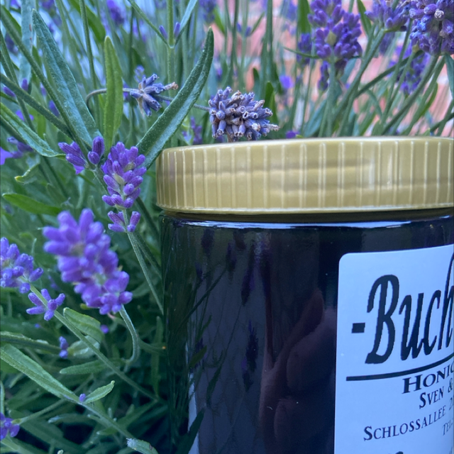 Buchweizenhonig