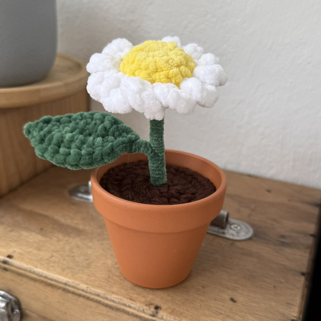 Marguerite - Effet peluche