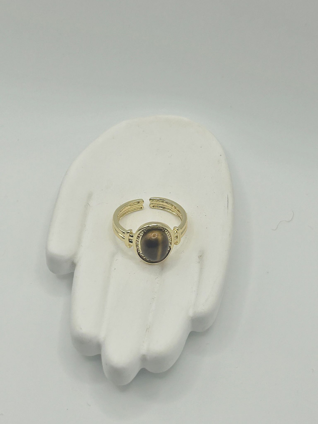 Stainless Steel Ring (SSR100J)