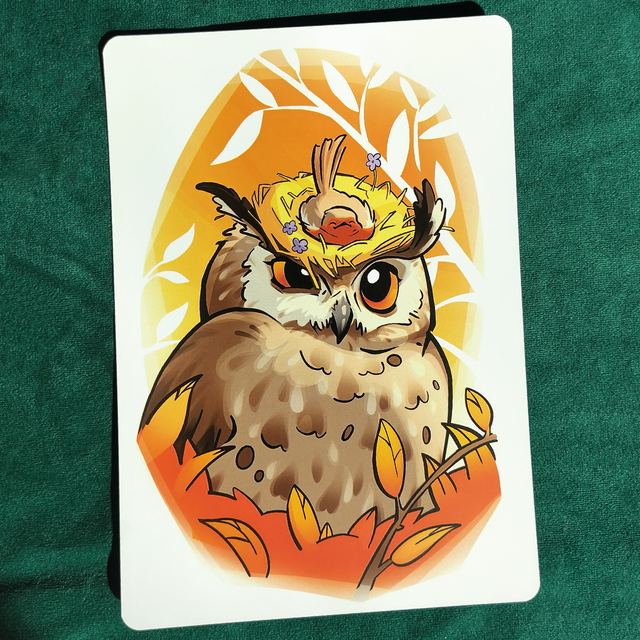 A5 - Cuicui le Rouge-gorge rencontre : le hiboux Grand Duc