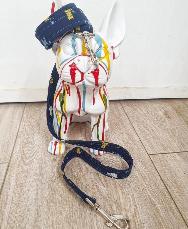 TIP_Laisse30 ◾️Chats